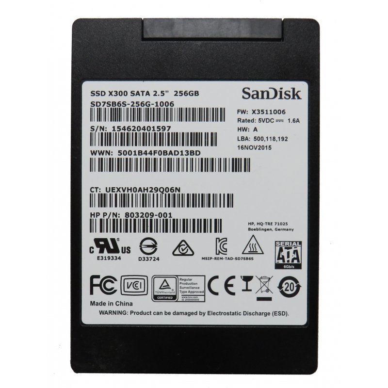 Sandisk X300 256GB