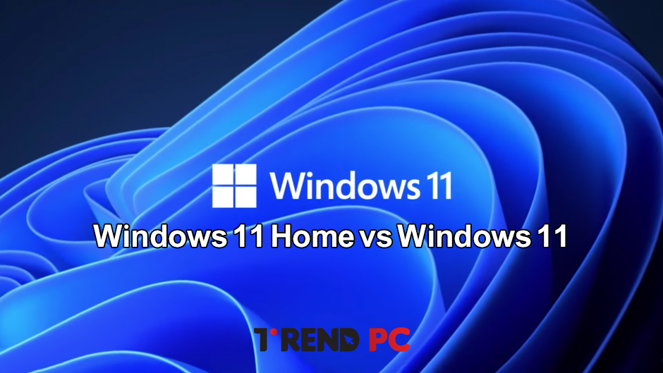 الفرق بين Windows 11 pro و Windows 11 Home