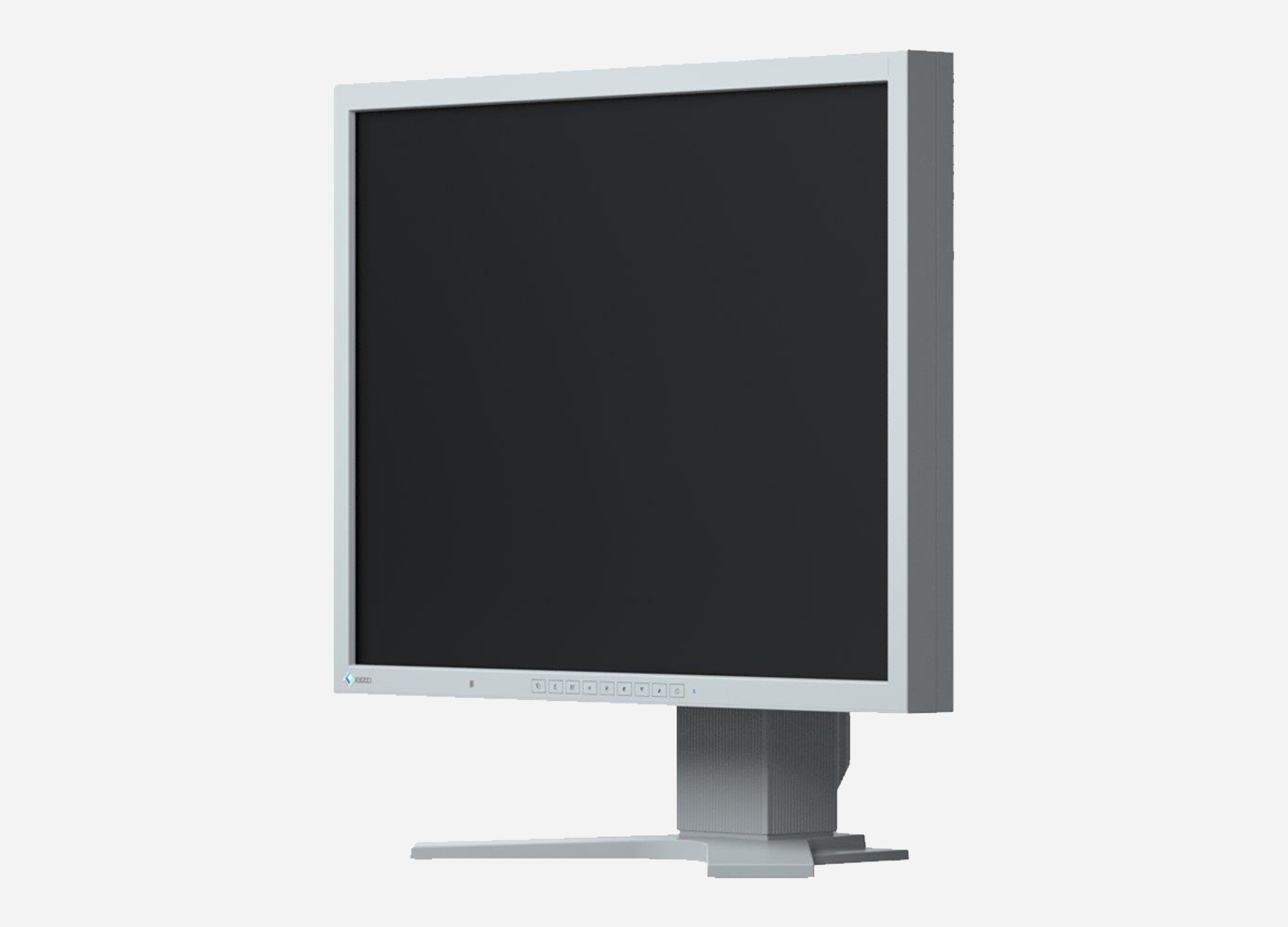 EIZO FlexScan S2133